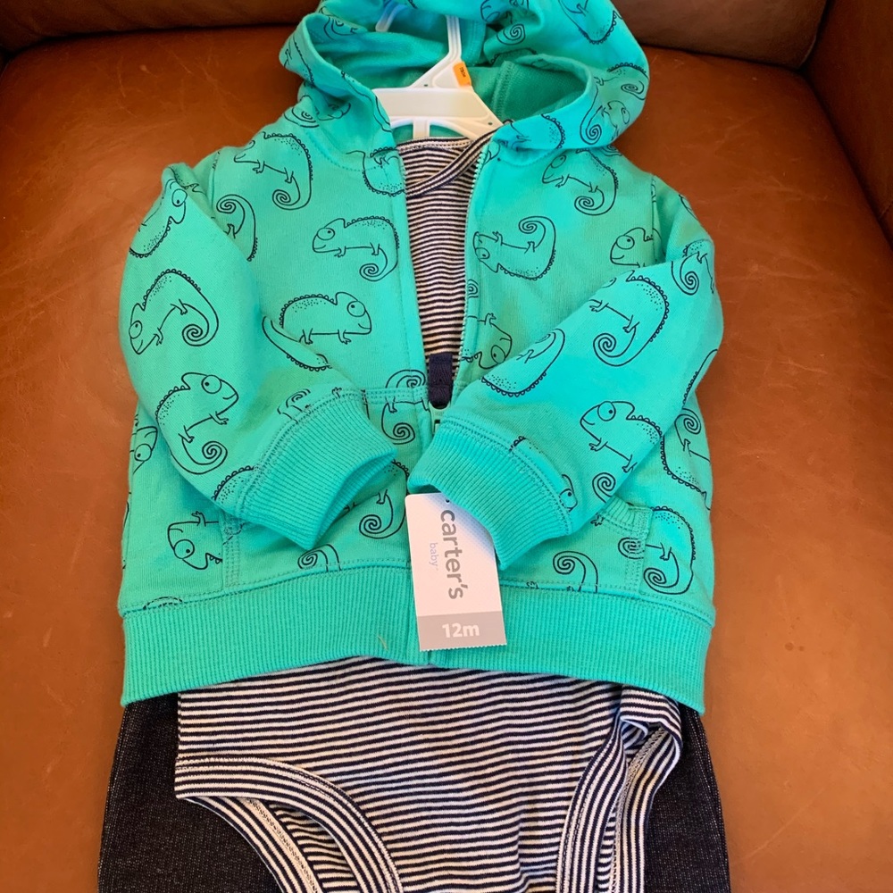 Carters 12month outfit